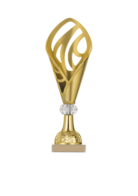 trophy_03 https://chaaraacademy.build2design.nl/wp-content/uploads/2022/11/trophy_03.png