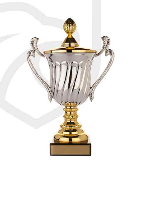 trophy_overlay_02 https://chaaraacademy.build2design.nl/wp-content/uploads/2022/11/trophy_overlay_02.jpg